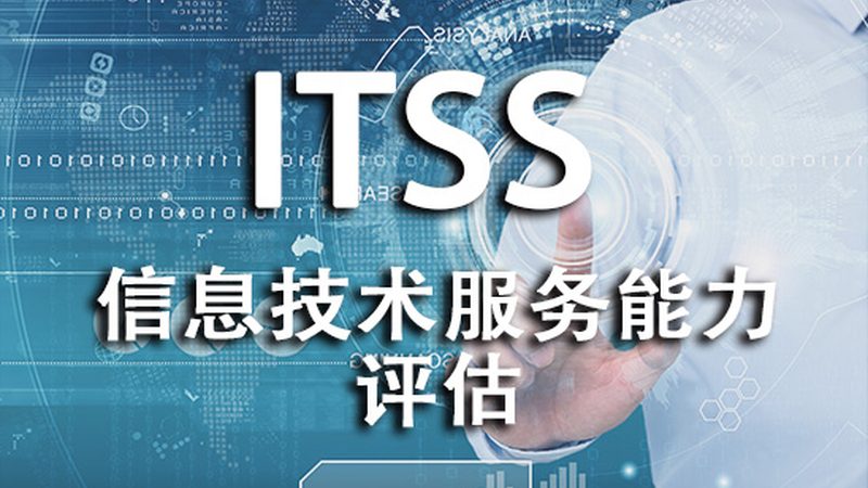信息系统集成项目管理规范定制：从通用模板到适配落地